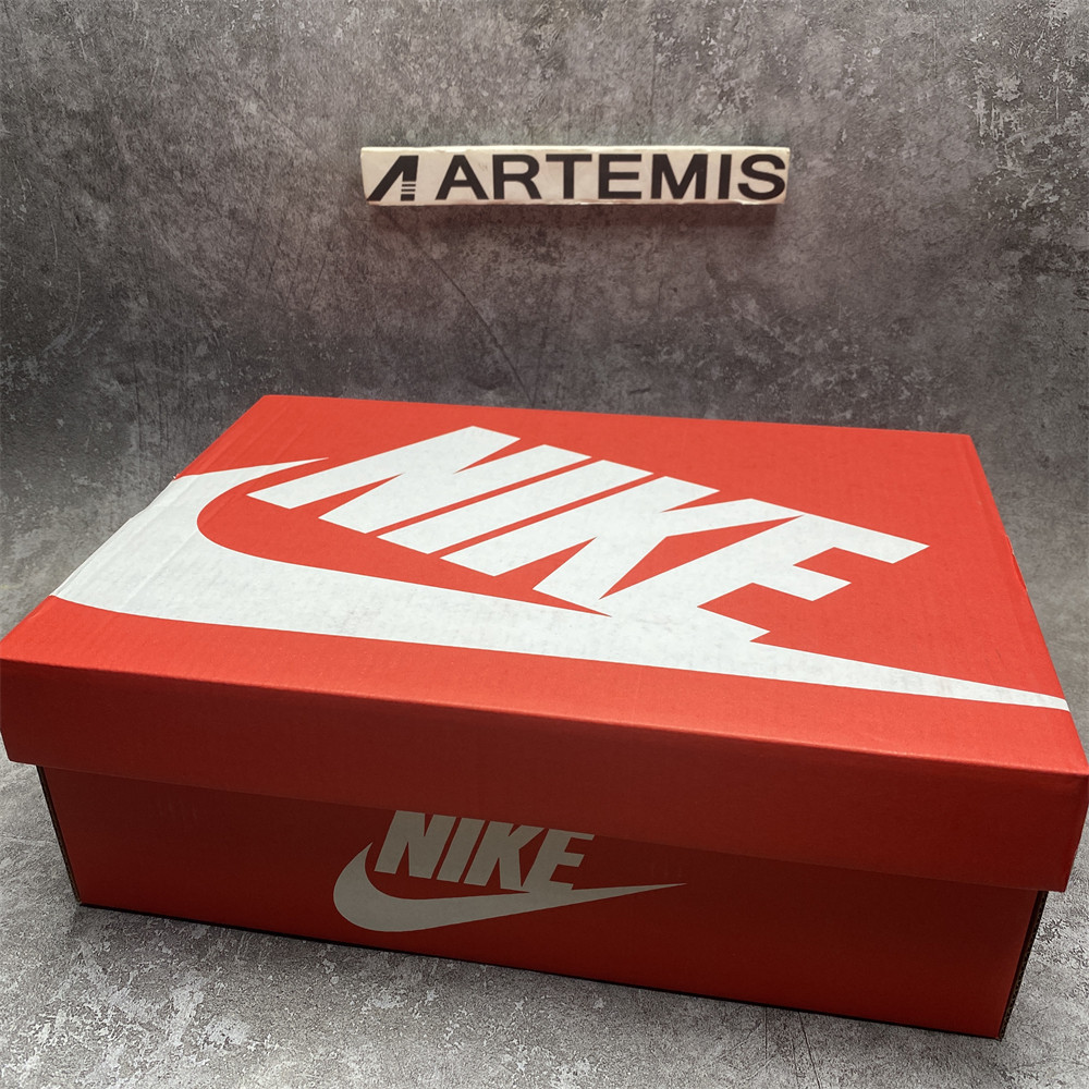 nike dunk low preM1vm sb