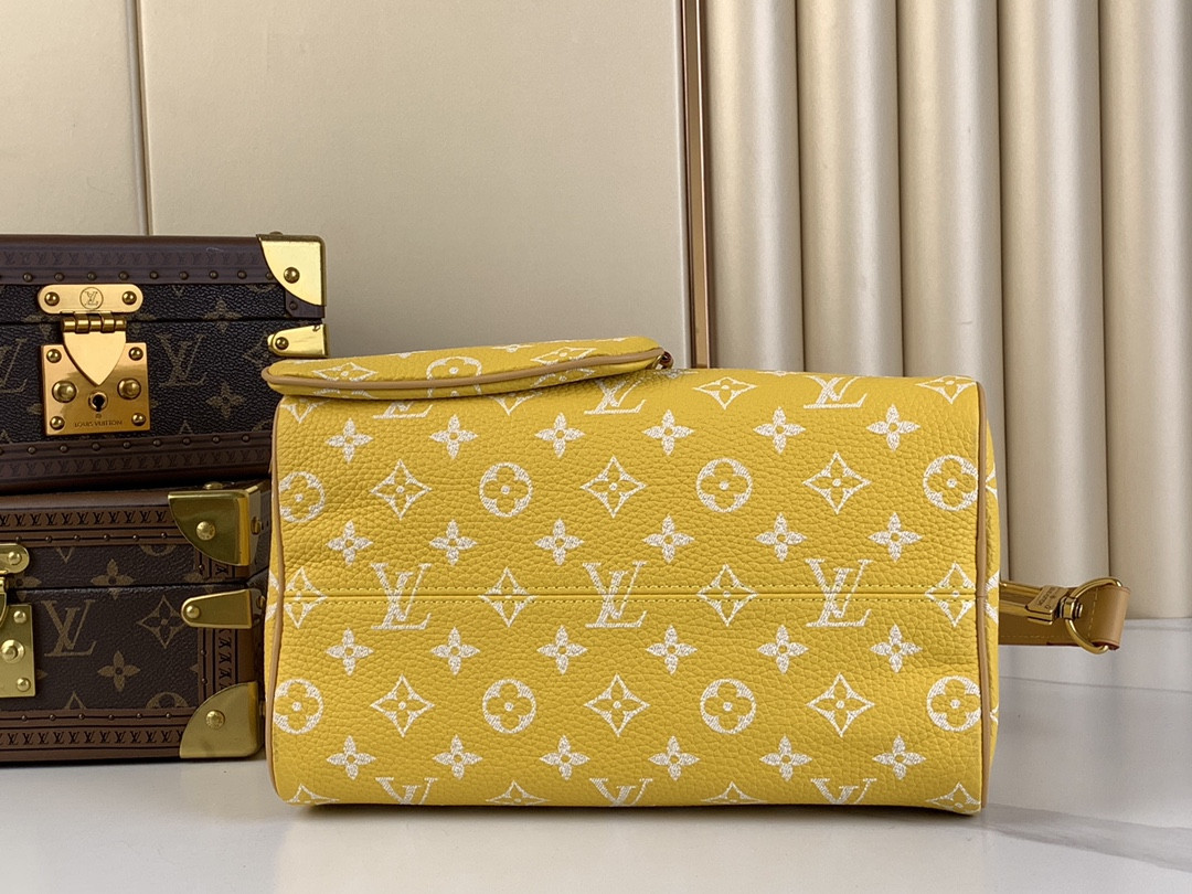 LV SPEEDY BANDOULIÈRE25 M24426
