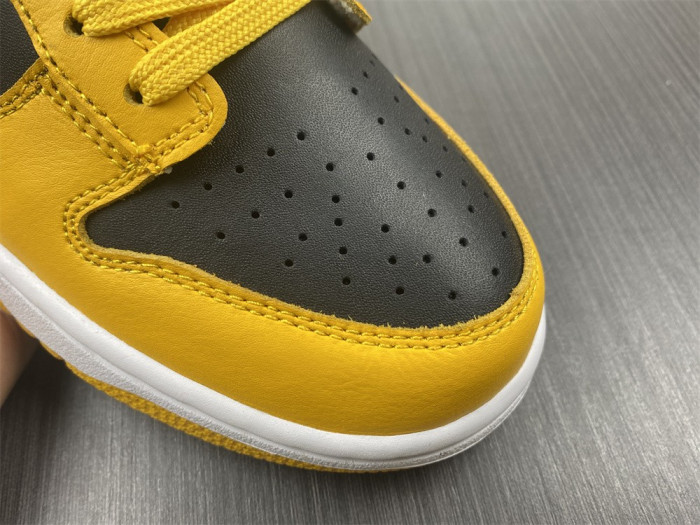 nike dunk low G01denrod (2021) dd1391-004