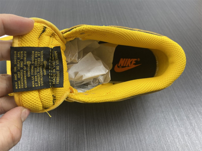 nike dunk low G01denrod (2021) dd1391-004