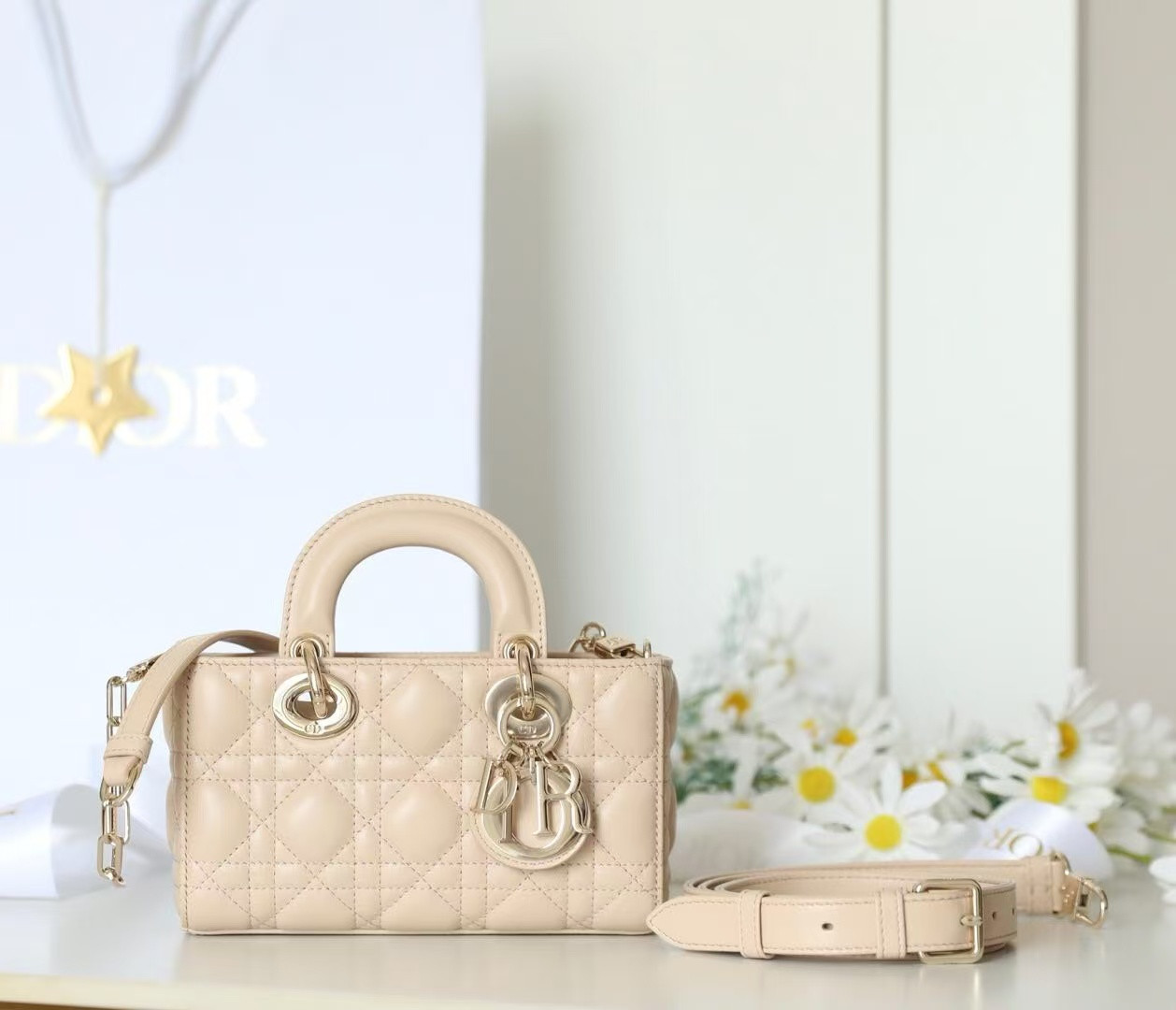 D10r mini lady d-joy bag 19x10.5x5.5cm