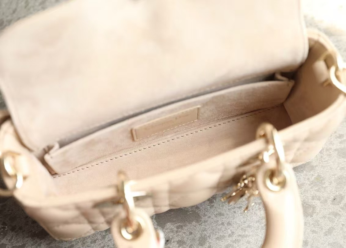 D10r mini lady d-joy bag 19x10.5x5.5cm
