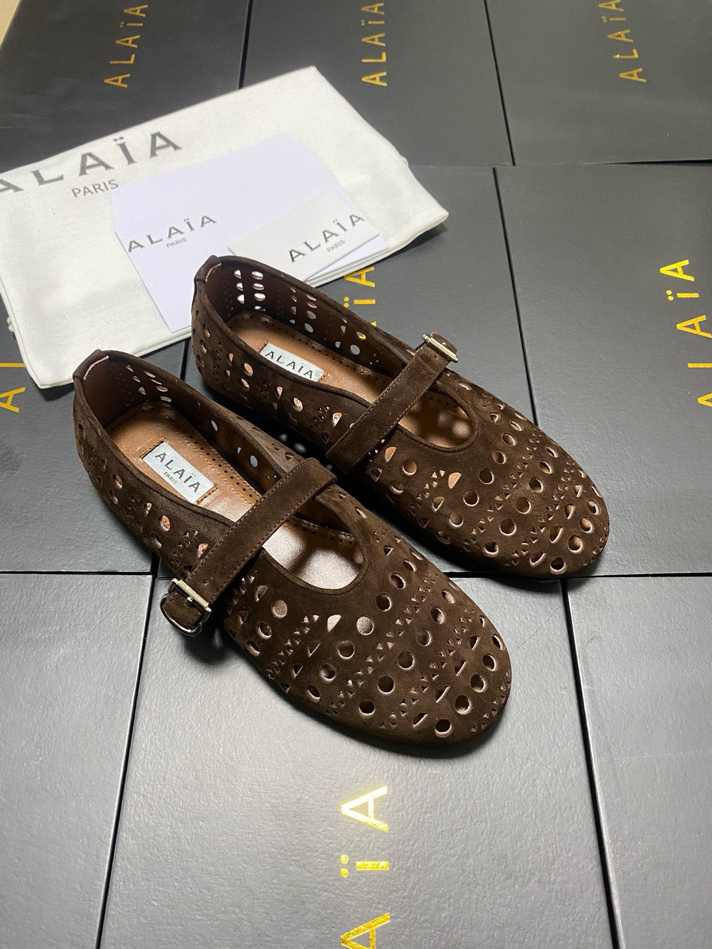 UA A1a1a Vienne BALLET FLATS