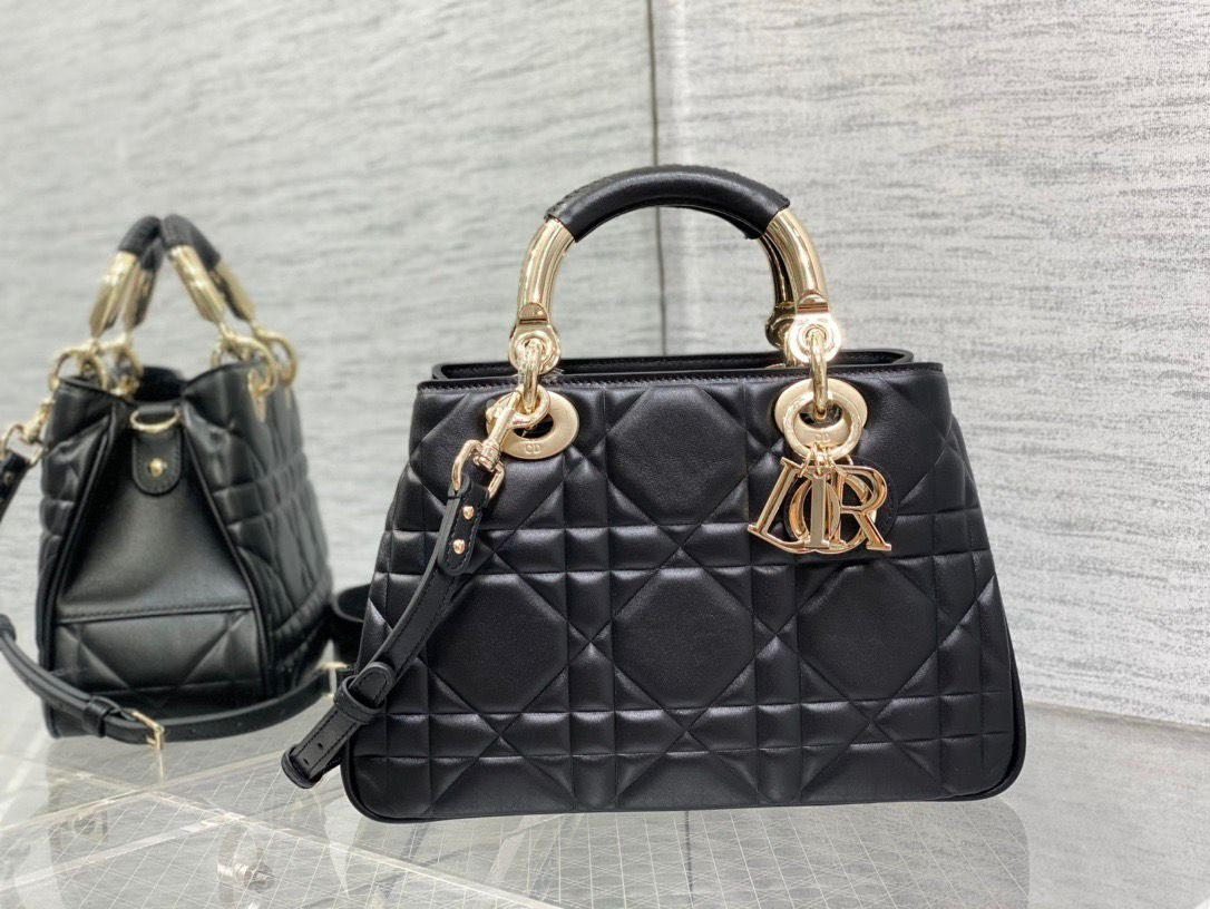 D10r Lady Handbag 24x18x10cm