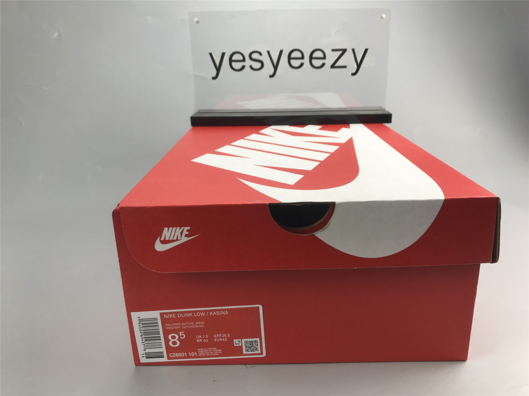 UA NIKE KASINA X DUNK LOW