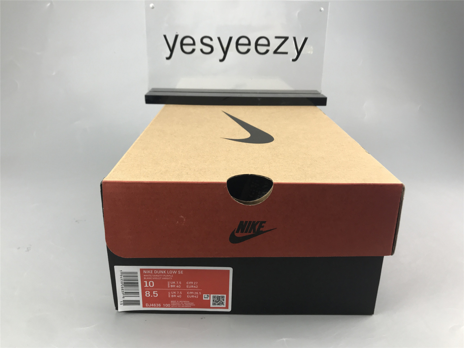 UA NIKE DUNK LOW 