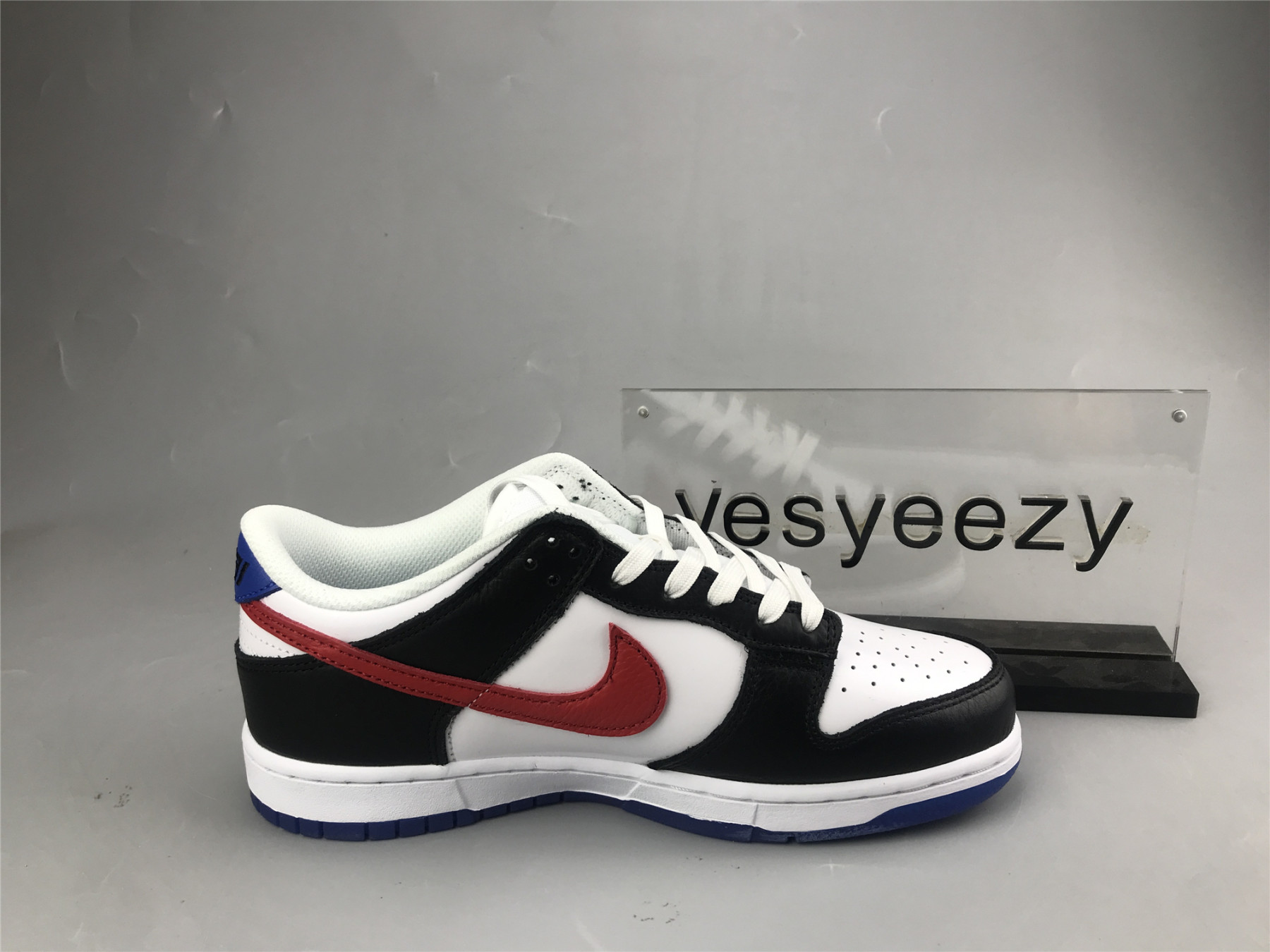 UA NIKE DUNK LOW 