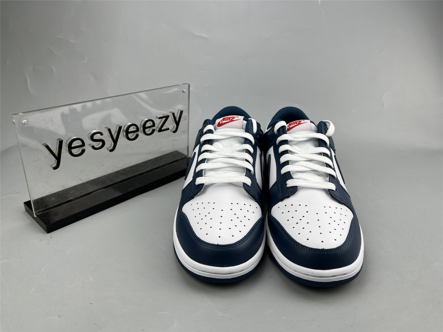 UA NIKE DUNK LOW 