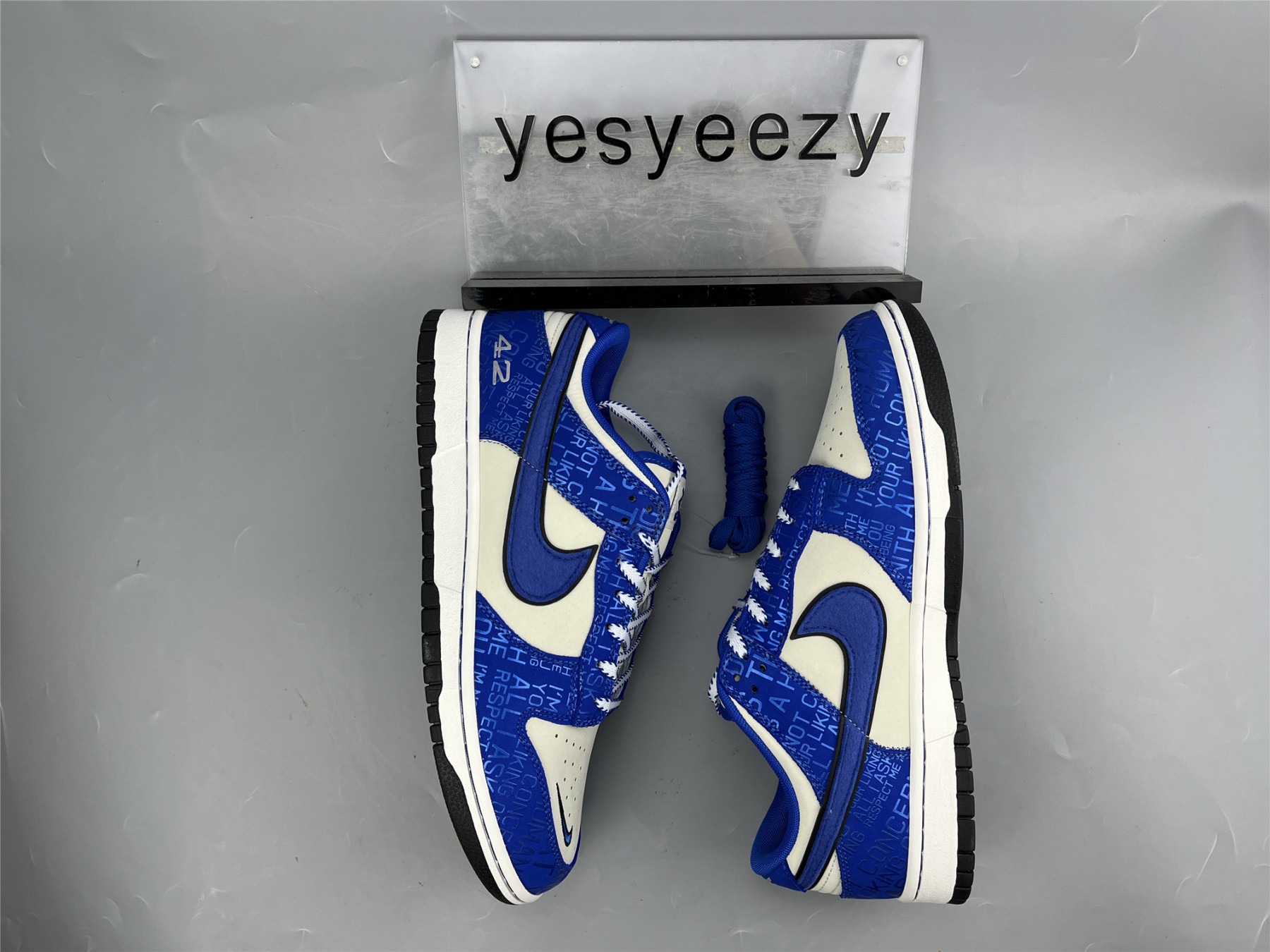 UA NIKE DUNK LOW GS 