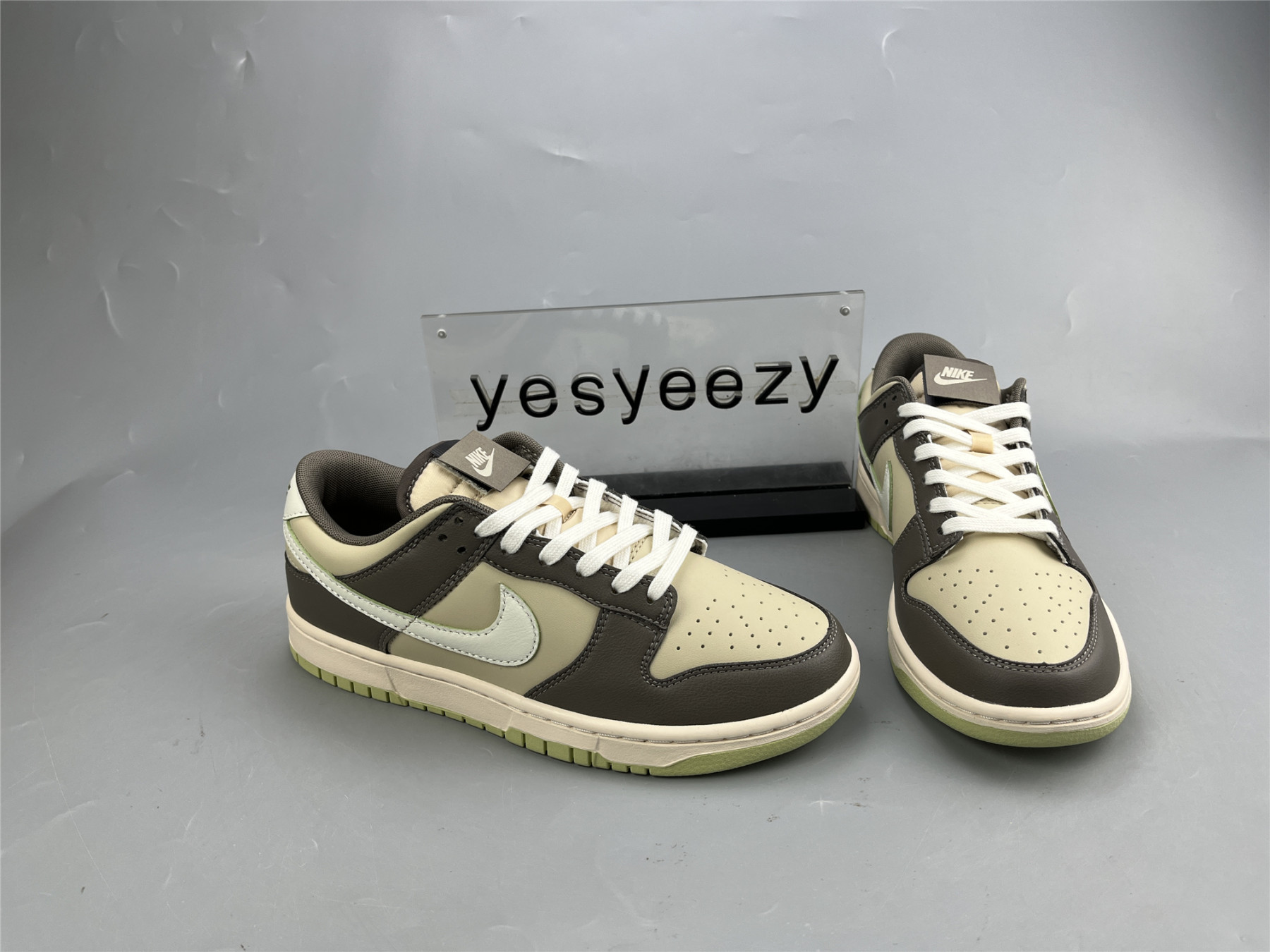 UA NIKE DUNK LOW 