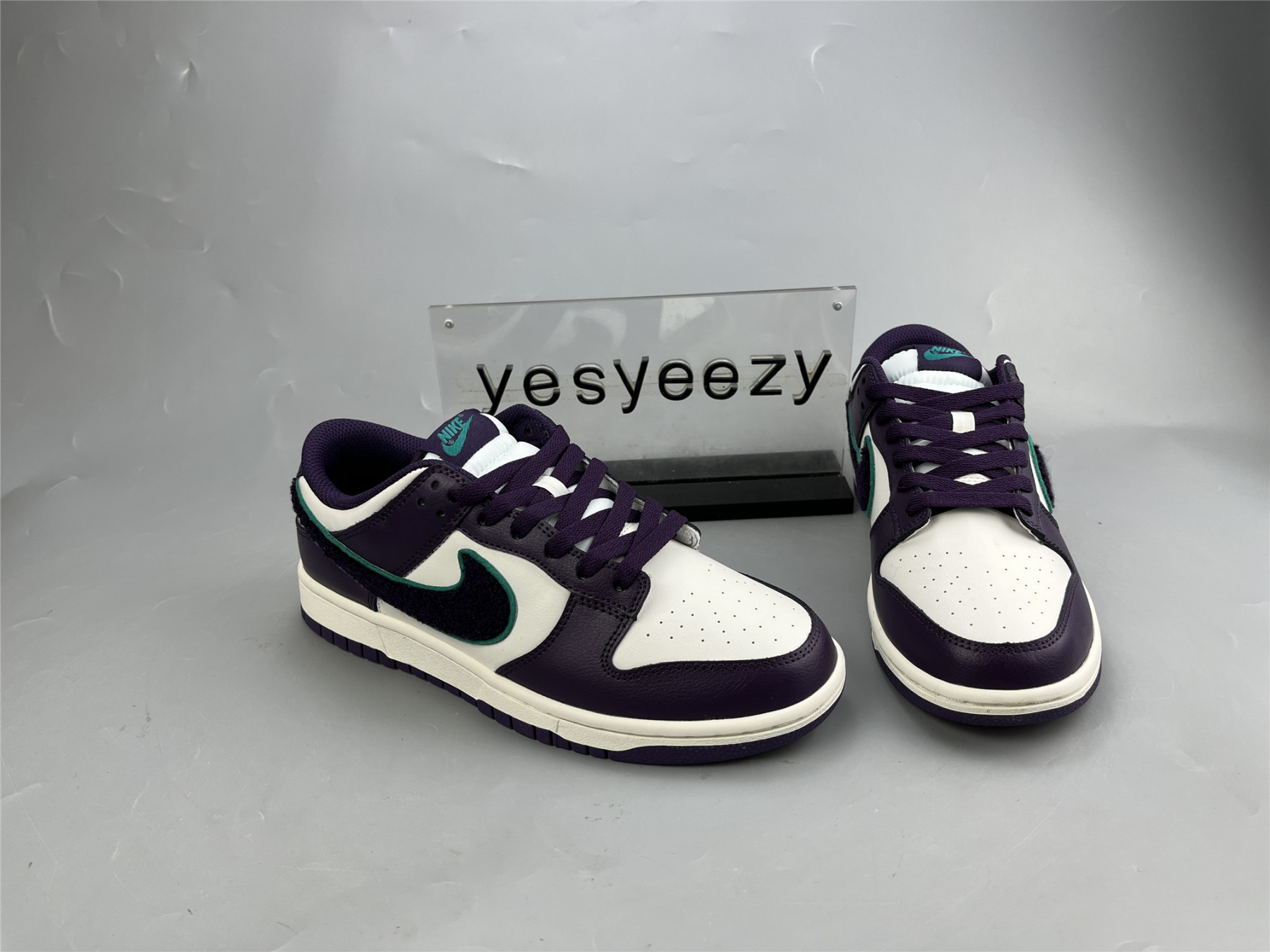 UA NIKE DUNK LOW 