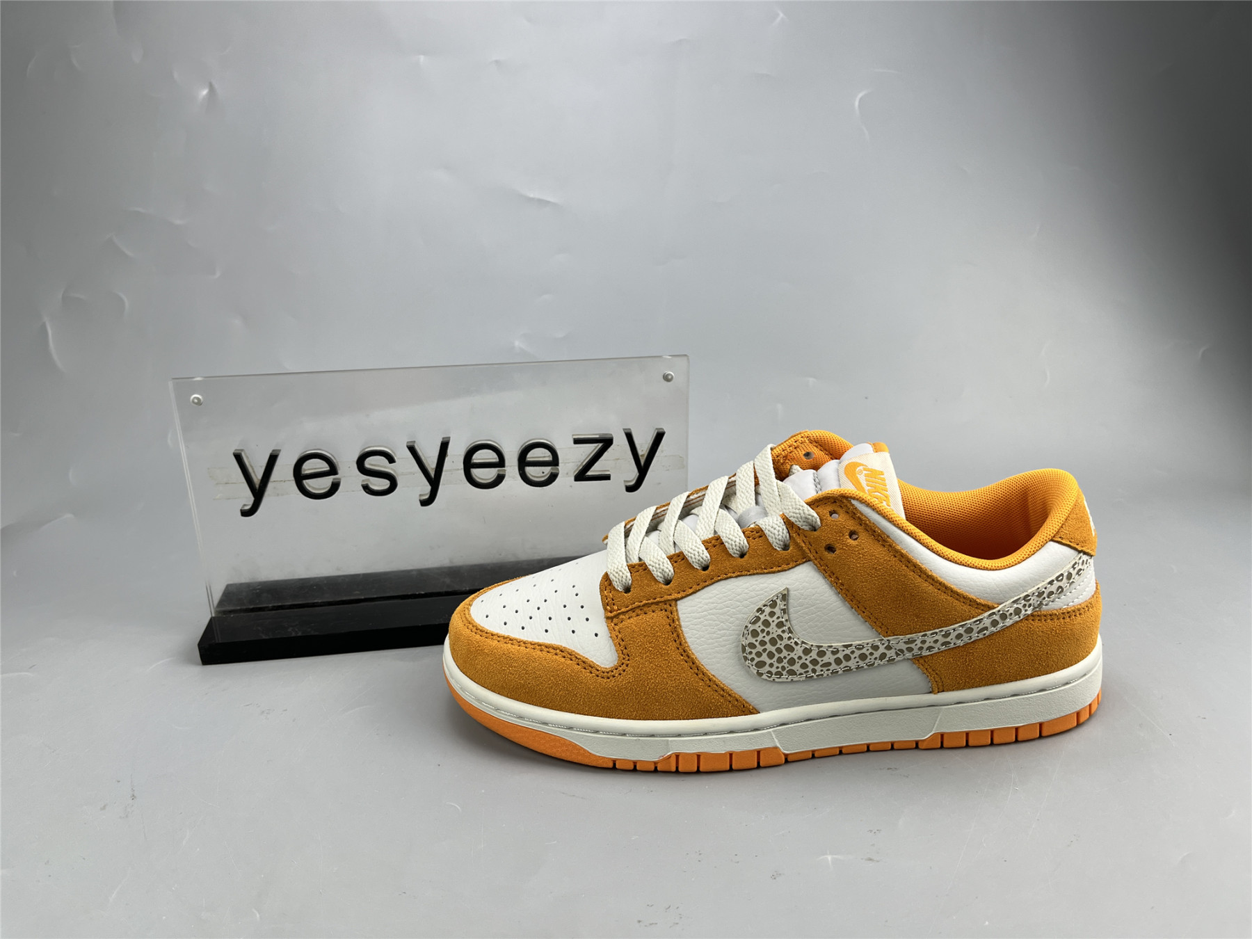 UA NIKE DUNK LOW 