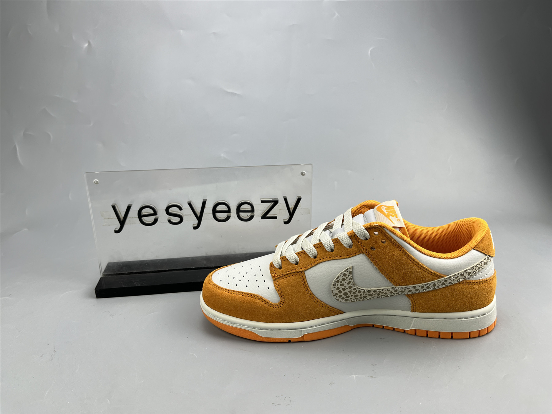UA NIKE DUNK LOW 