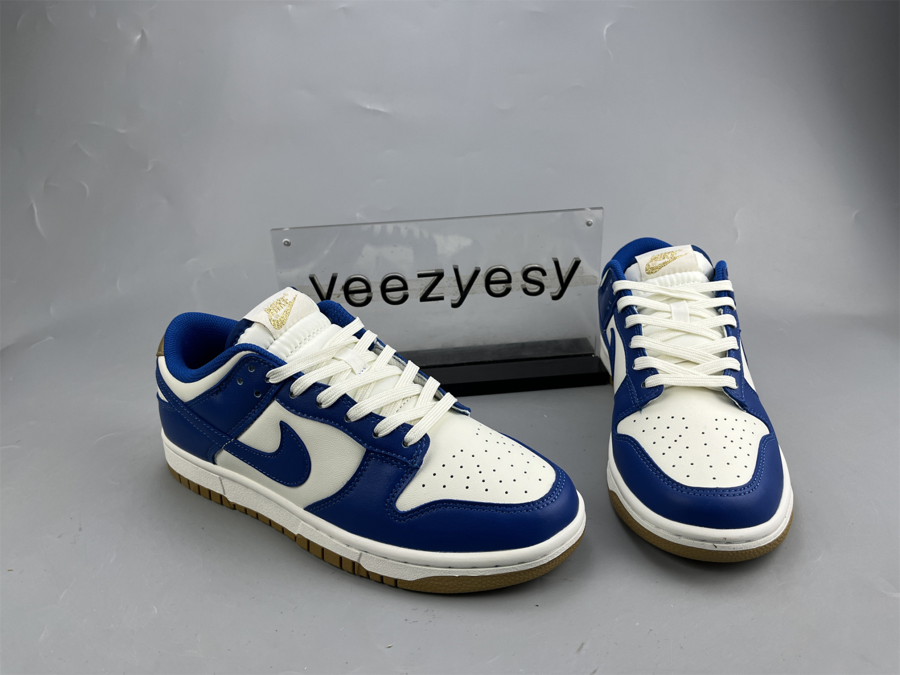 UA NIKE DUNK LOW 