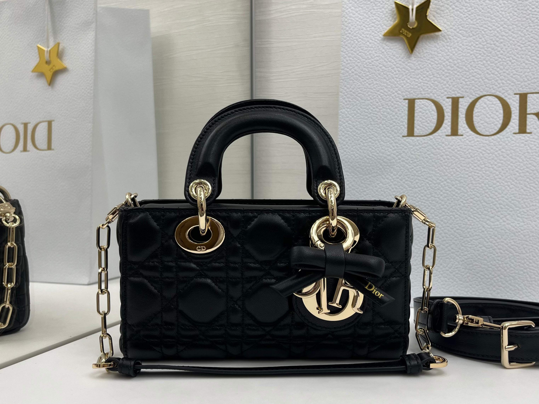 D10r mini lady d-joy bag 19x10.5x5.5cm