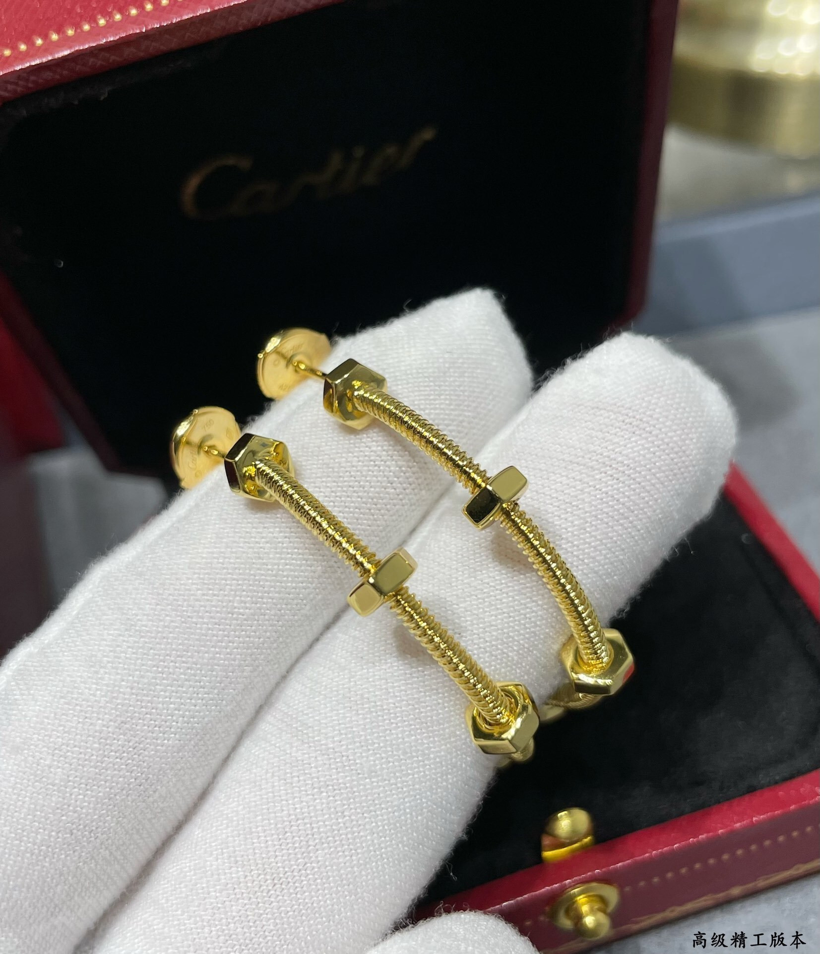 Ca*t1er Screw Earrings