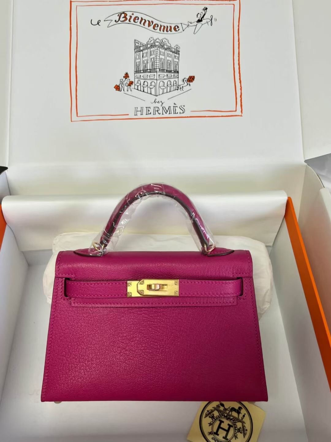 h**me5 mini kelly chèvre 19 19×6×12cm (cusT0m colors - 20-25 days production time)