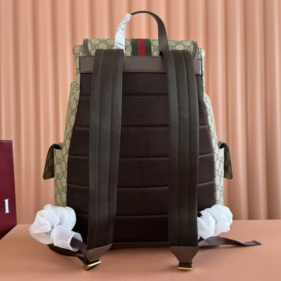 Gvc*1 ophidia large backpack 35x46x12cm