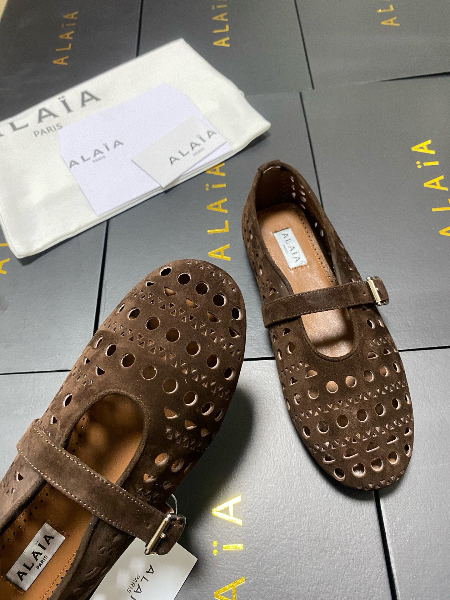 UA A1a1a Vienne BALLET FLATS