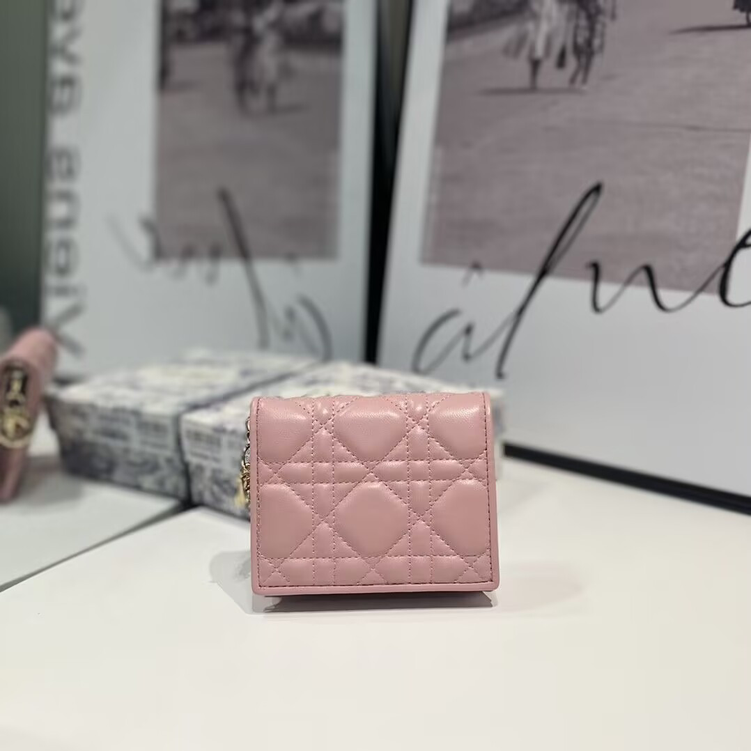 D10r Mini Lady D10r Gardenia Wallet 11x9x3cm