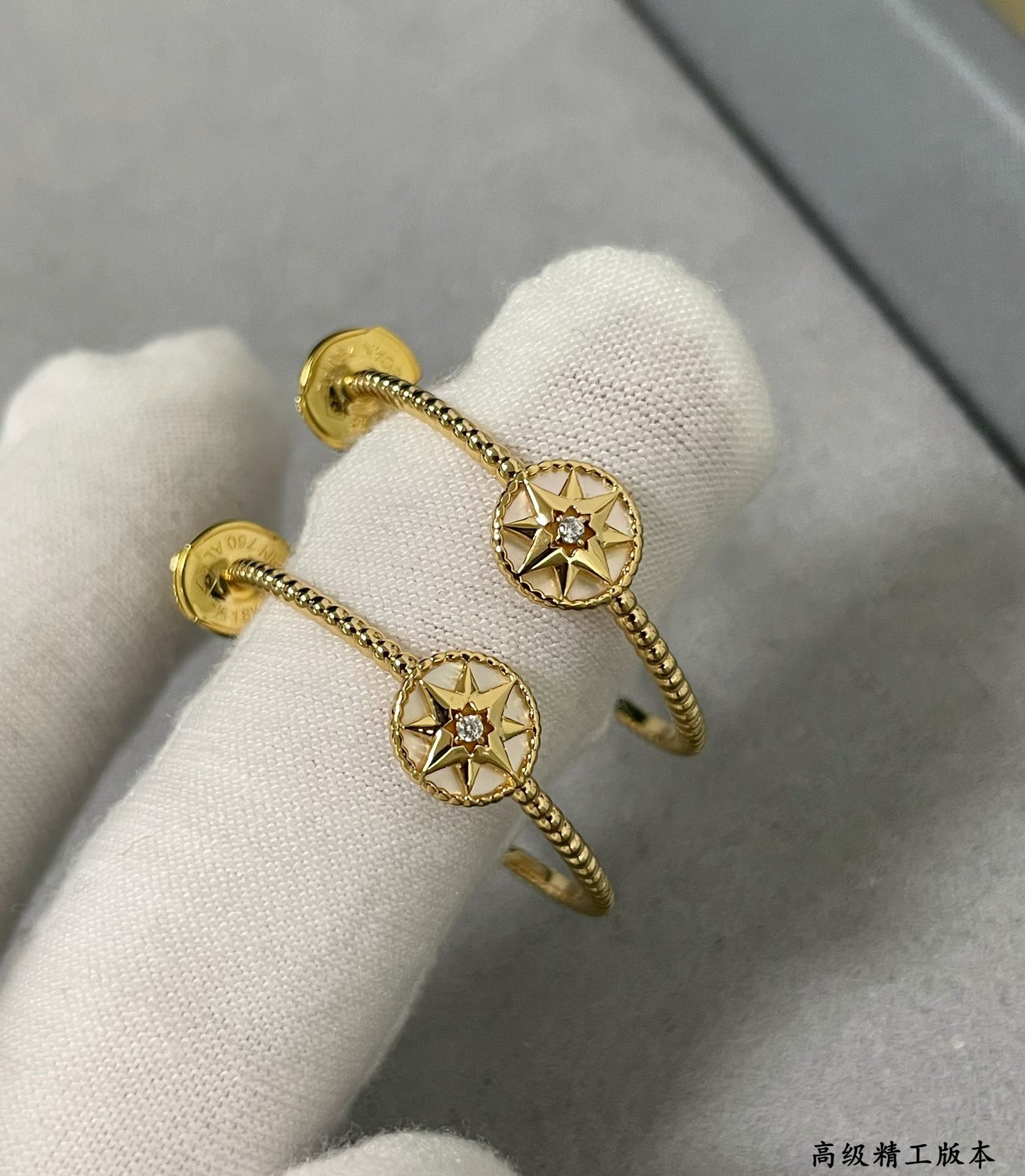 D10r rose des vents earrings
