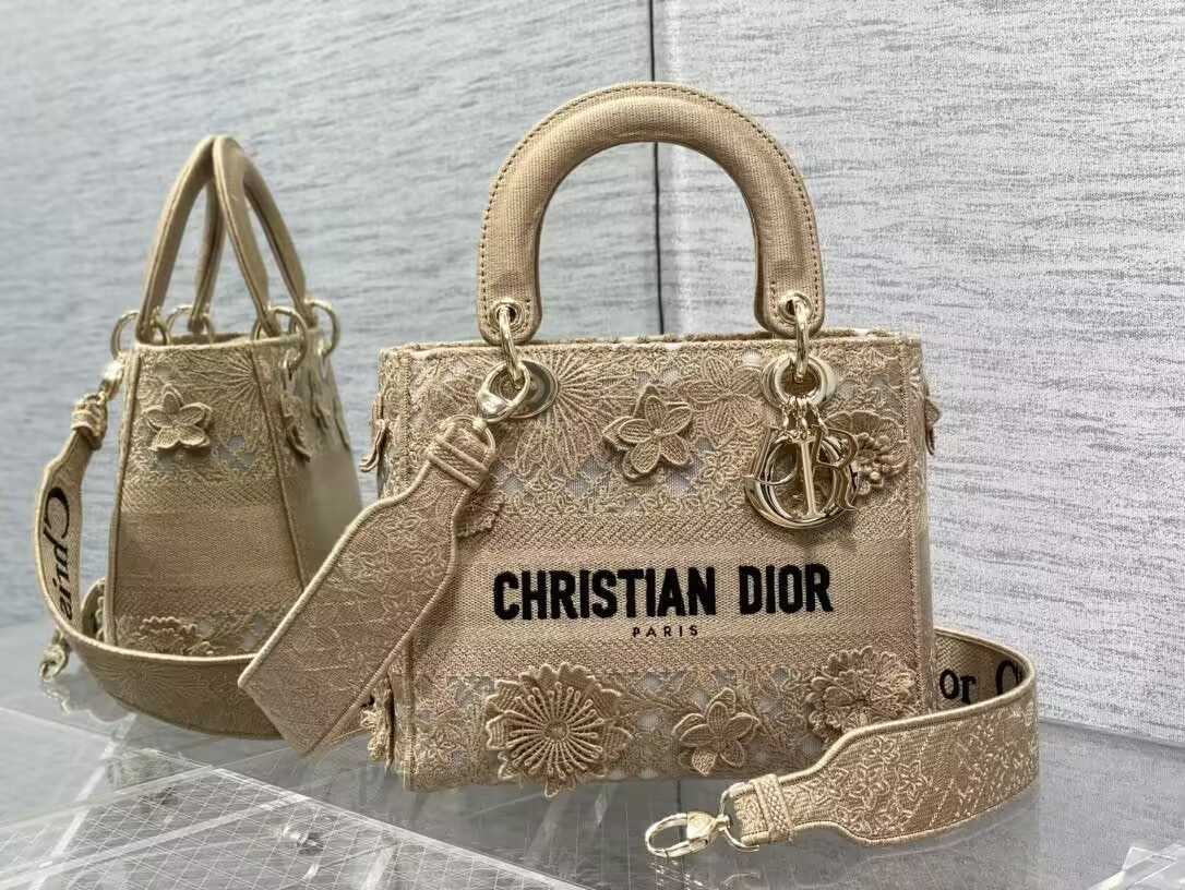 D10r medium lady d-lite bag 24x20x11cm