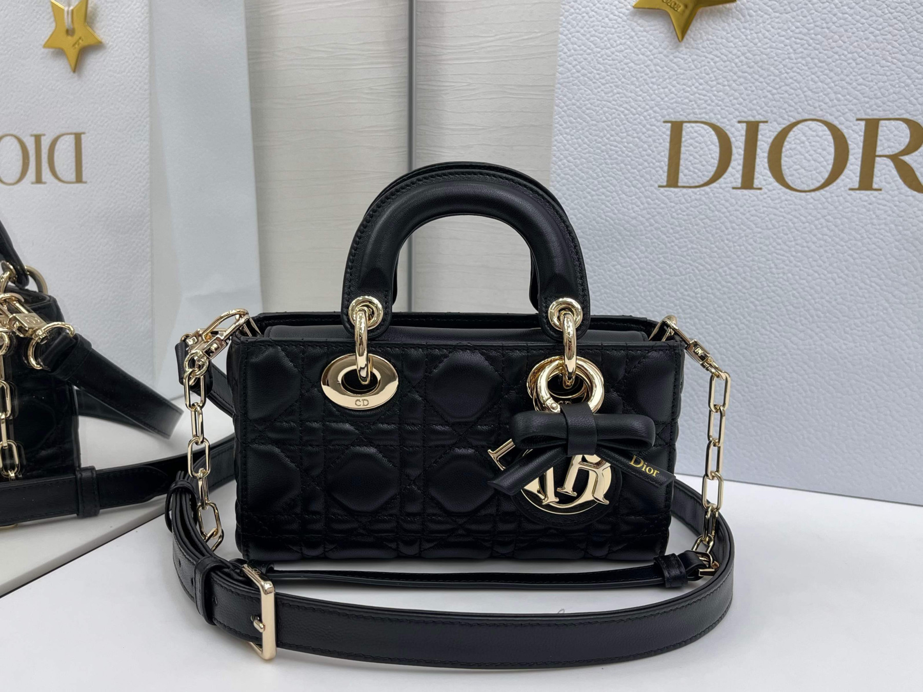 D10r mini lady d-joy bag 19x10.5x5.5cm