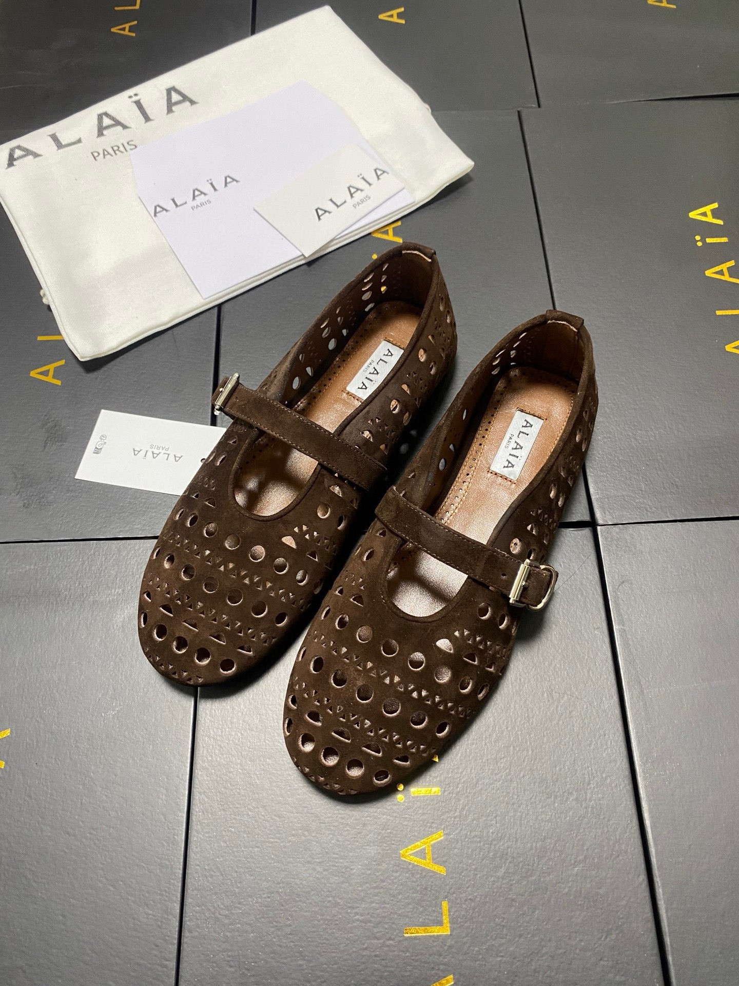 UA A1a1a Vienne BALLET FLATS