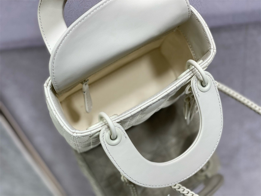 Mini Lady D10r Bag 6.5 x 6 x 3 inches