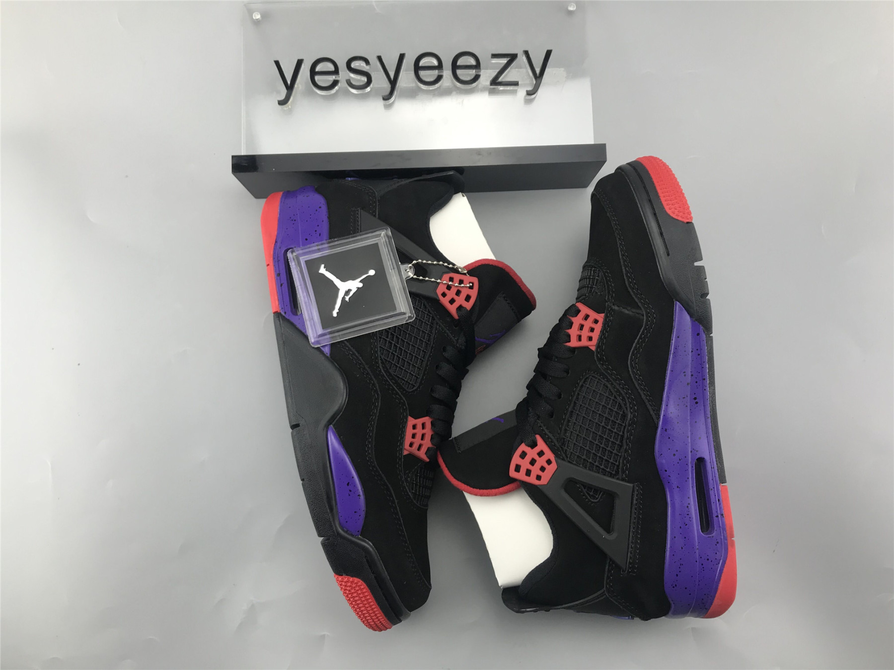 UA AIR JORDAN 4 RETRO NRG "RAPTOR - DRAKE SIGNATURE"