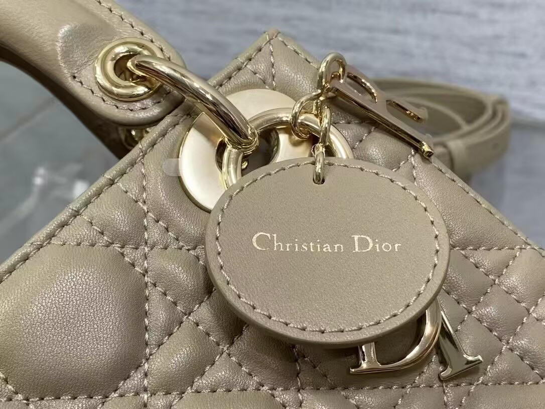 lady D10r bag 17x7x15cm