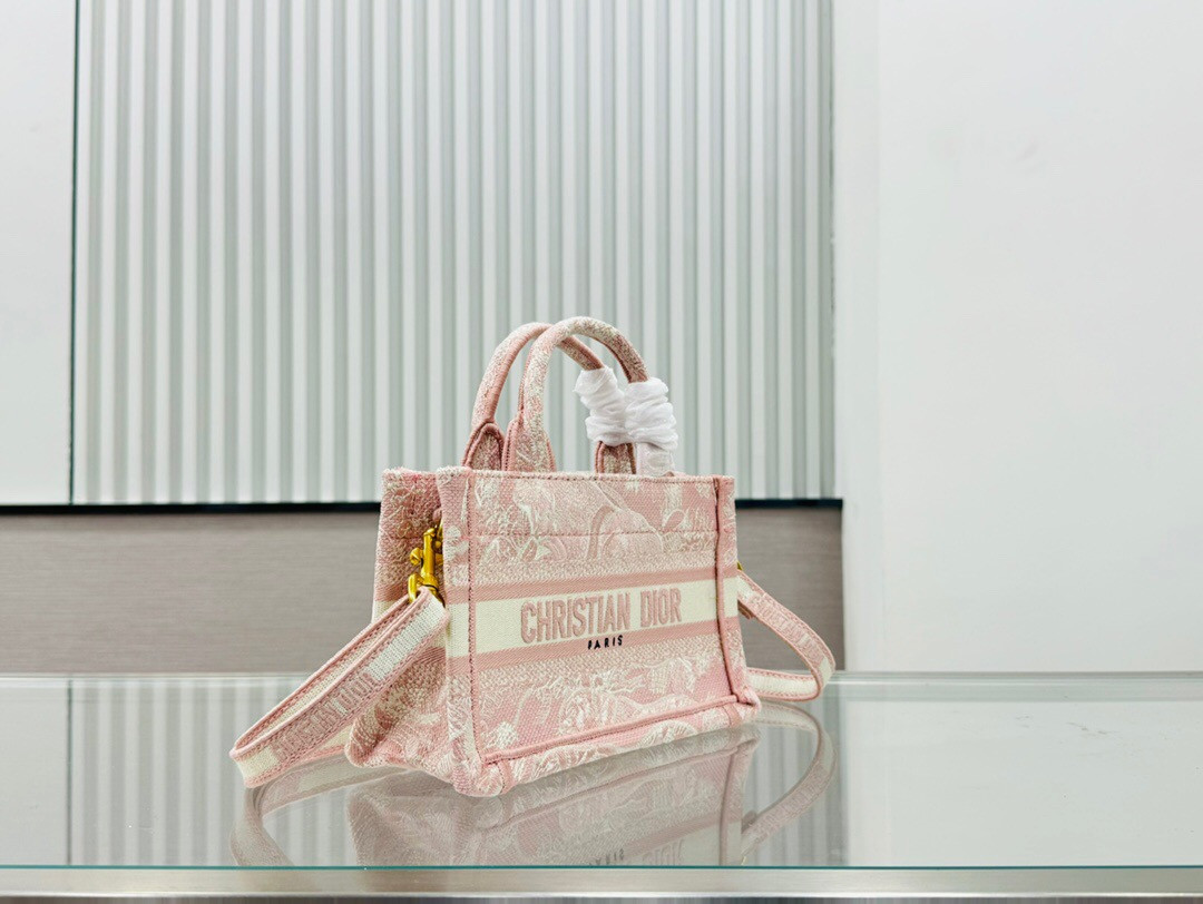 D10r book tote 24SS  21.5×13×7.5cm
