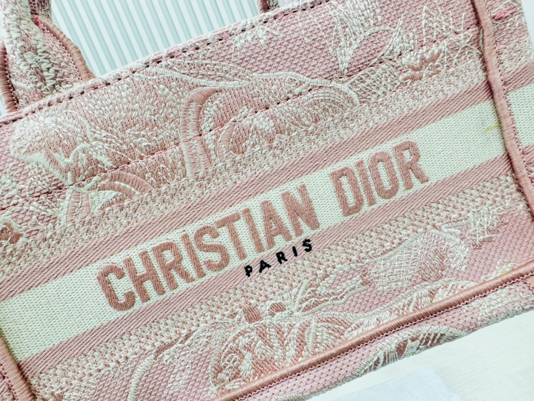 D10r book tote 24SS  21.5×13×7.5cm