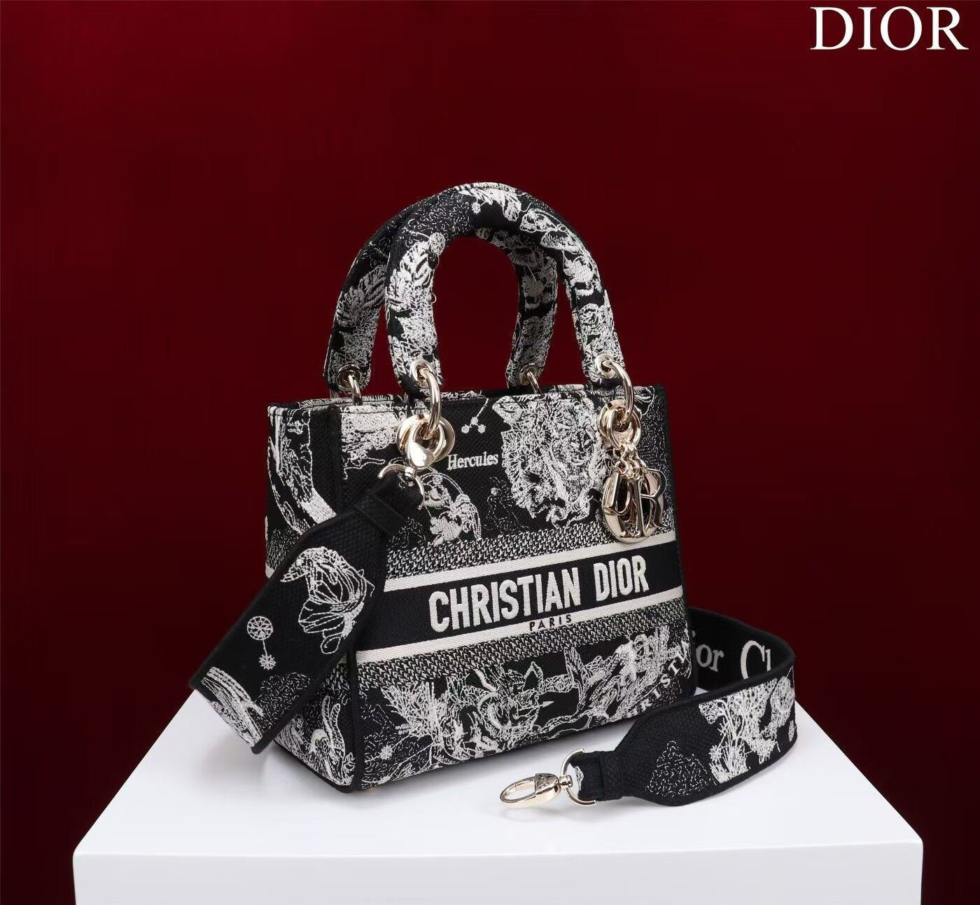MEDIUM D10r LADY D-LITE BAG  24 x 20 x 11 cm