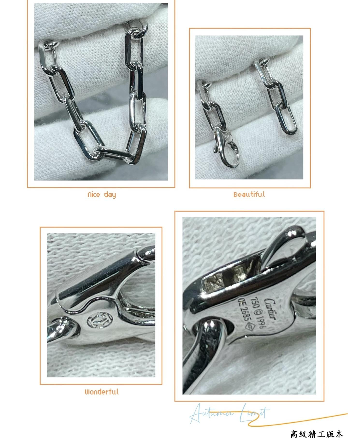 Ca*t1er Ring Necklace