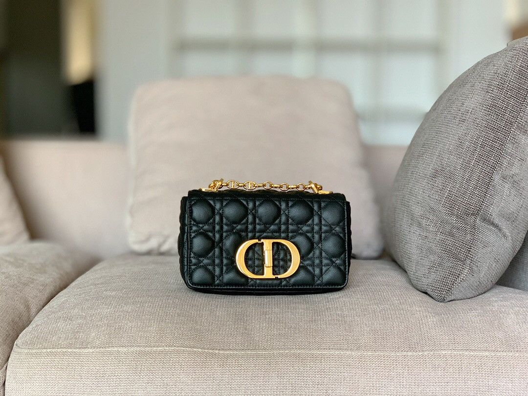 Small D10r CARO BAG