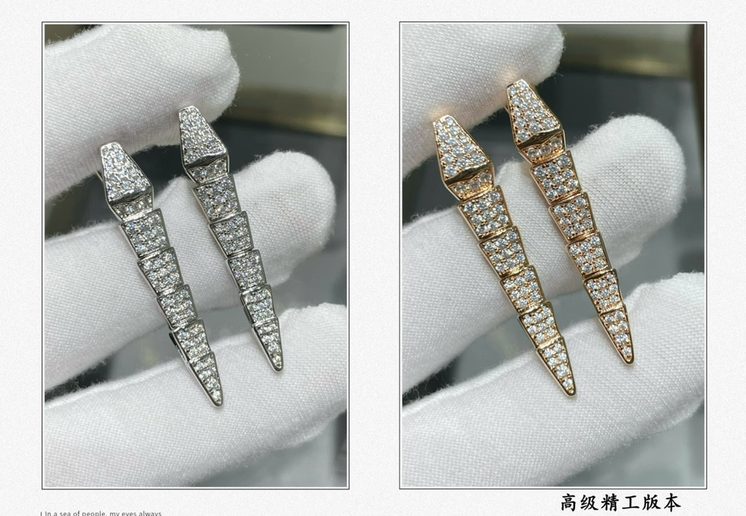 Bv1g*ai Full-level drill snake Earrings