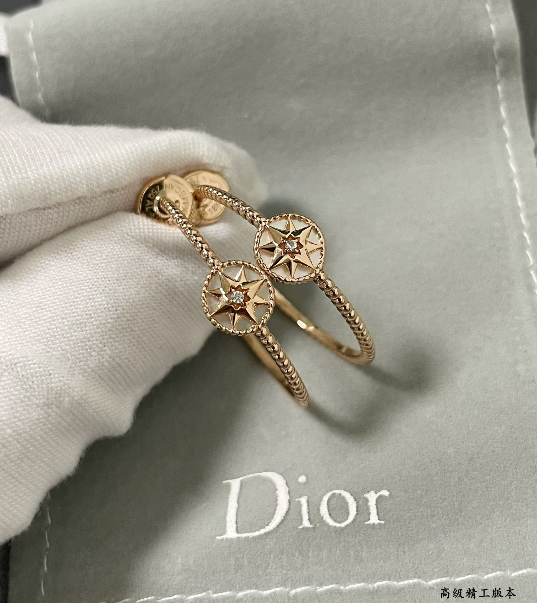 D10r rose des vents earrings