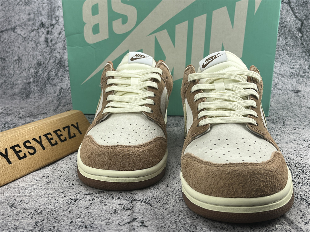 ua nike dunk low preM1vm 