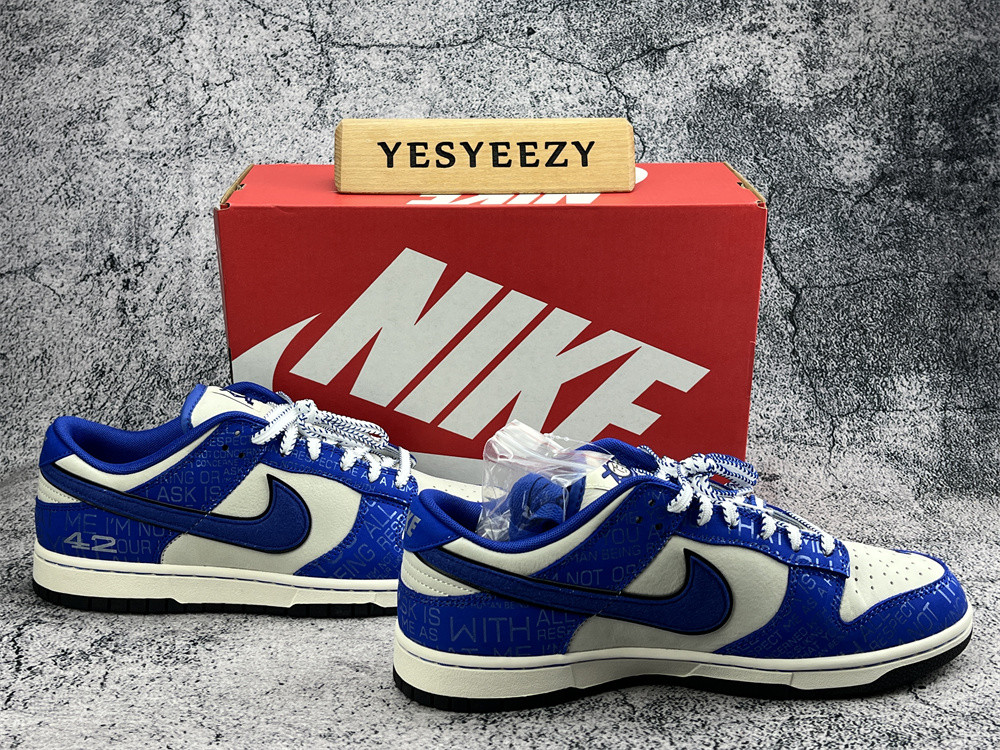 UA NIKE DUNK LOW 