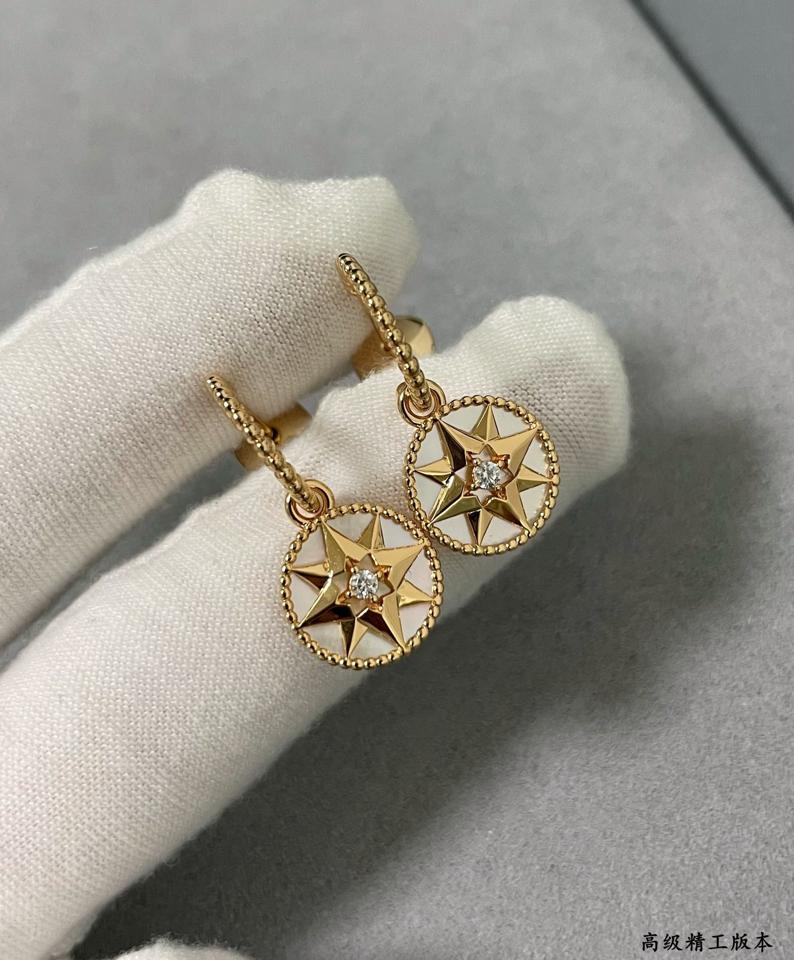 D10r rose des vents earrings