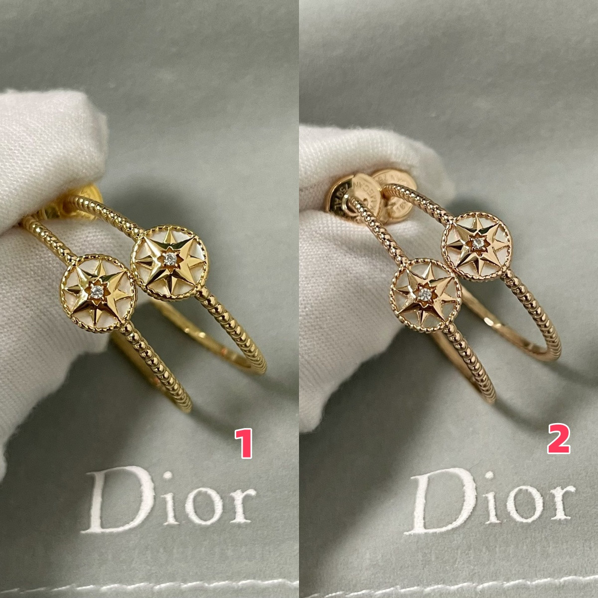 D10r rose des vents earrings