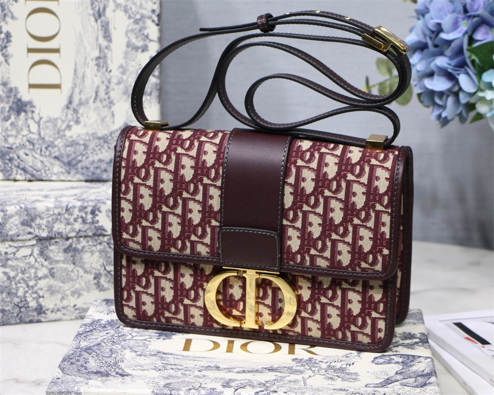 D10r 30 MONTAIGNE CHAIN BAG ROSERED 24x18x8 cm
