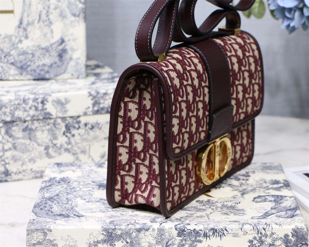 D10r 30 MONTAIGNE CHAIN BAG ROSERED 24x18x8 cm