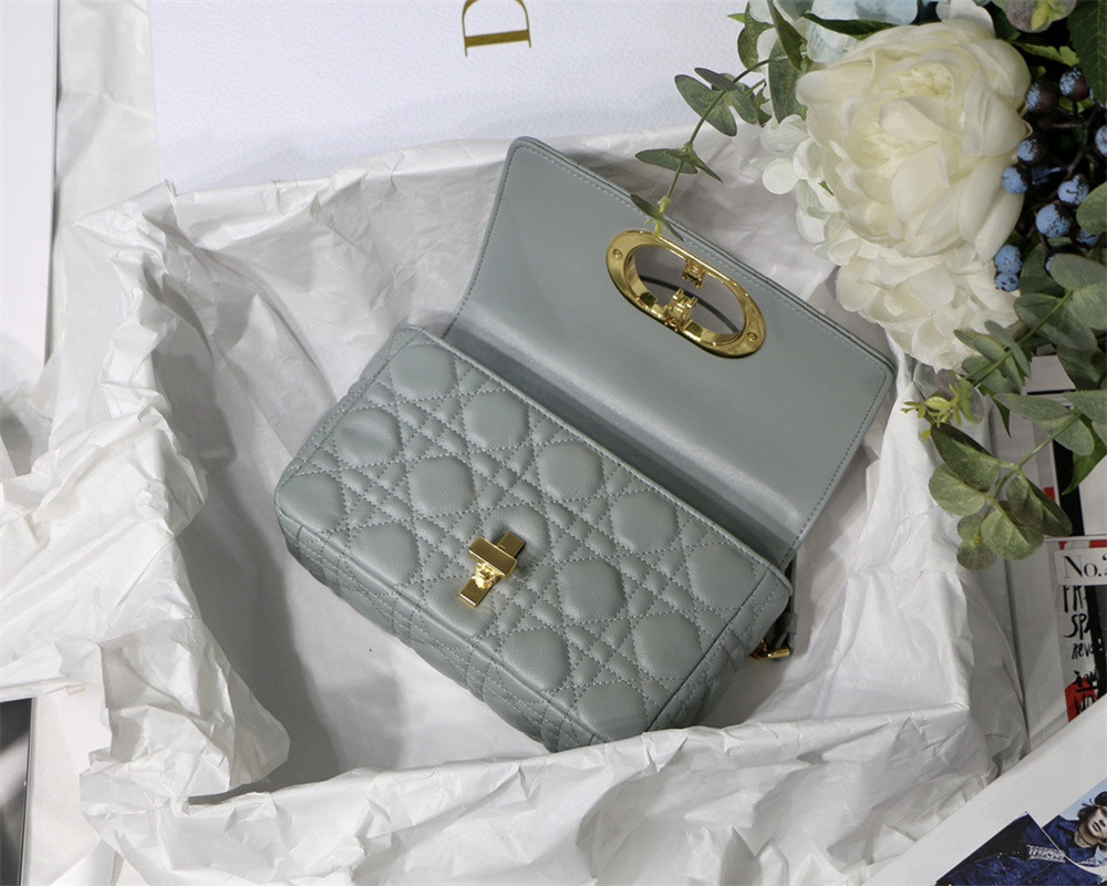 SMALL D10r CARO BAG Stone Gray S*pple Cannage Calfskin 20 x 12 x 7 cm