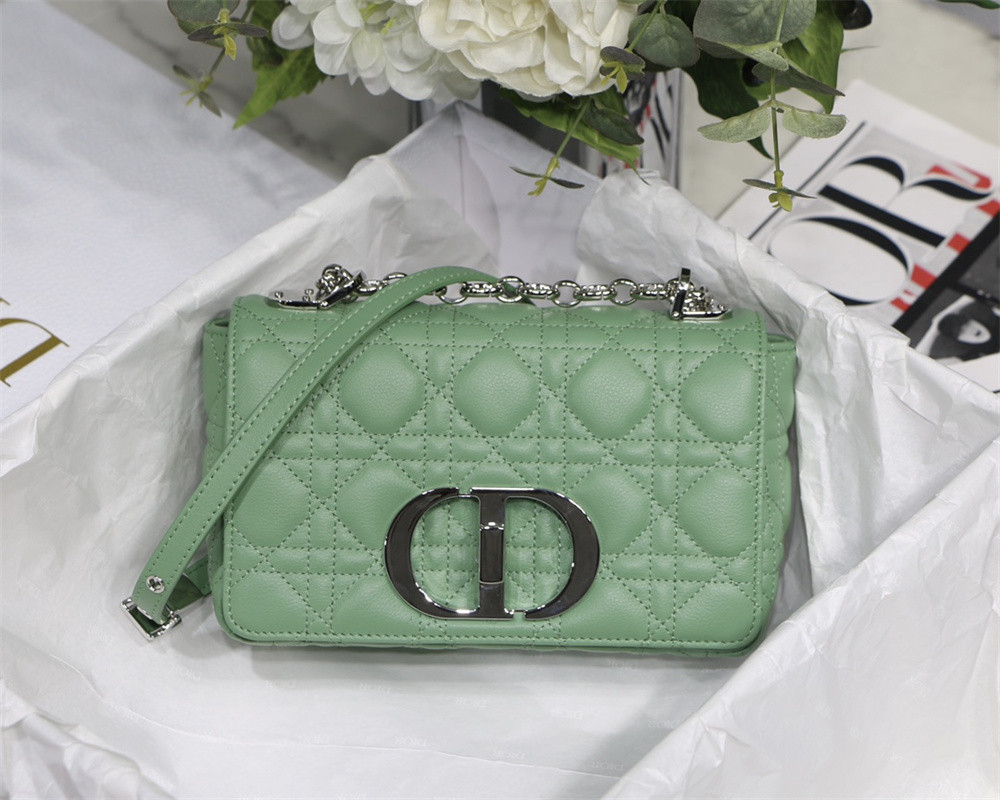 SMALL D10r CARO BAG gREEN S*pple Cannage Calfskin With Silver Hardware 20 x 12 x 7 cm
