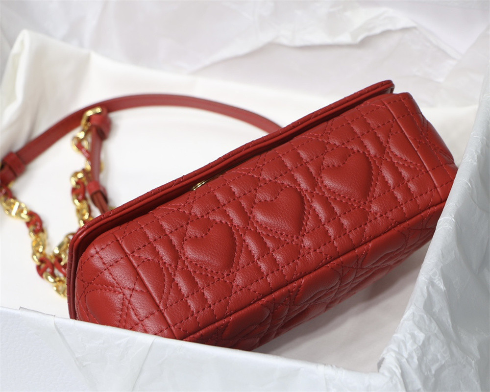 SMALL D10r CARO BAG amour red 20 x 12 x 7 cm