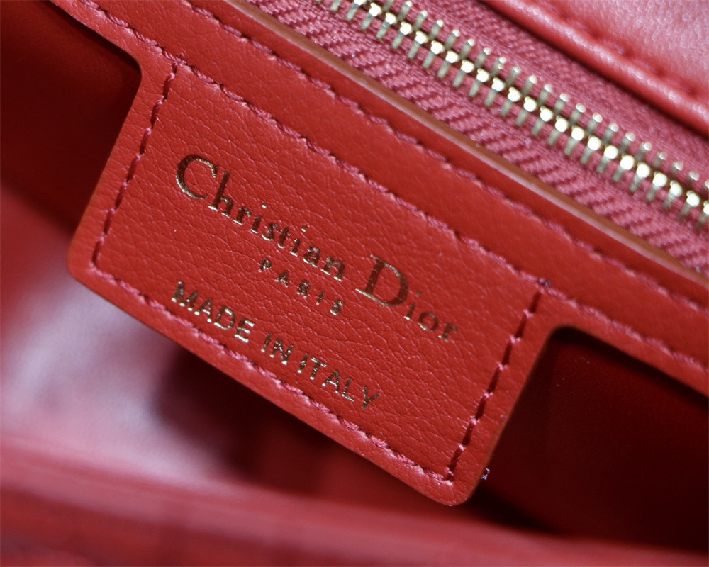 SMALL D10r CARO BAG amour red 20 x 12 x 7 cm