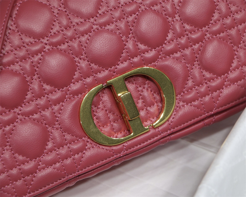 MEDIUM D10r CARO BAG S*pple Cannage Calfskin 25.5 x 15.5 x 8 cm