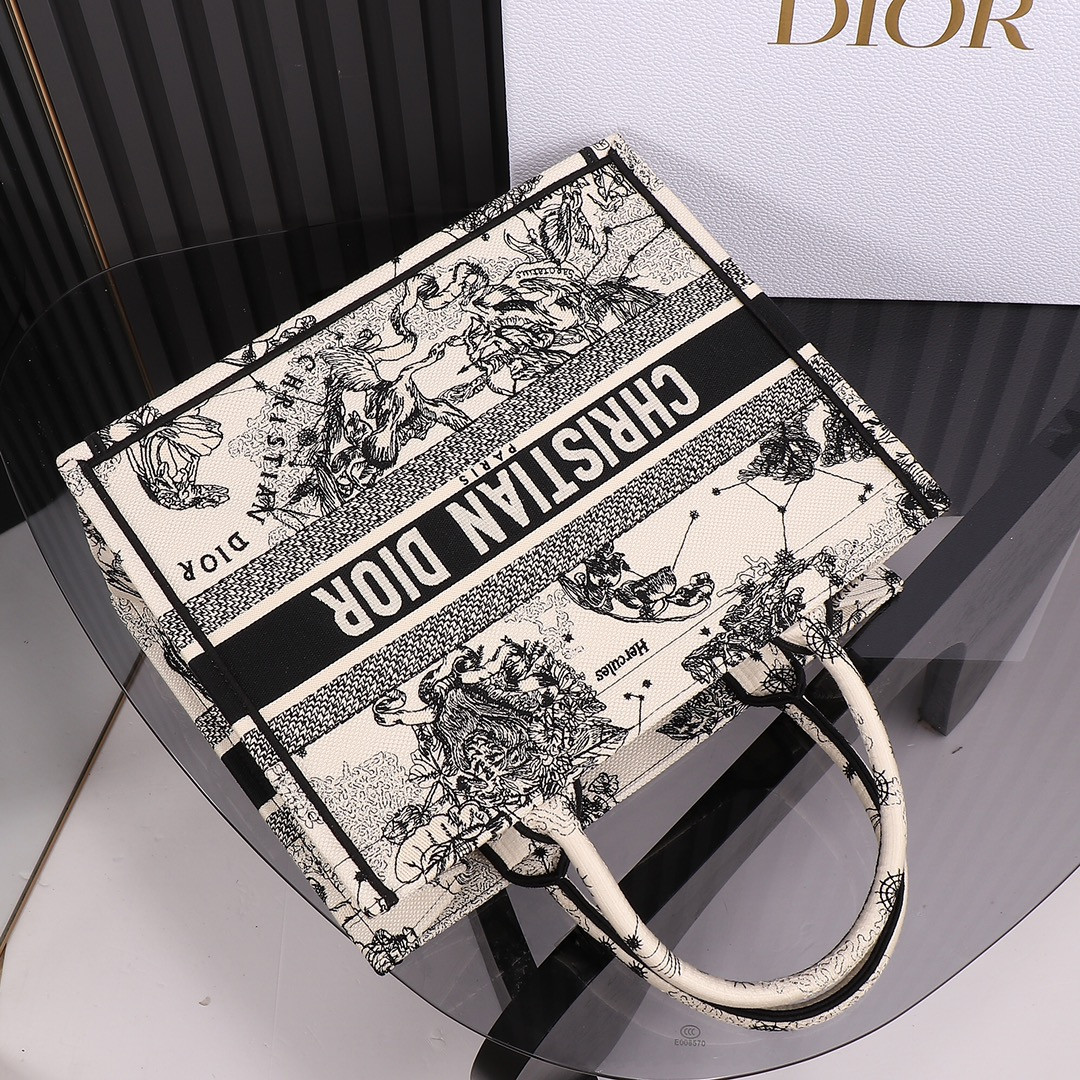 Medium D10r Book Tote De Jouy Zodiac 14 x 11 x 6.5 inches